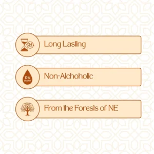 Hindi Dhanul Oud Sufi Pure (1)